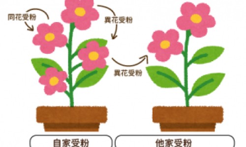 维生素d和维生素d3的区别是什么?-维生素滴d剂和d3的区别网 | 维生素d和d3有啥区别,维生素d和维生素d3的区别是什么?