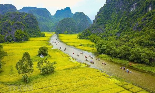 维生素滴d剂和d3的区别网 | 维生素d和d3有啥区别,维生素d和维生素d3的区别是什么?